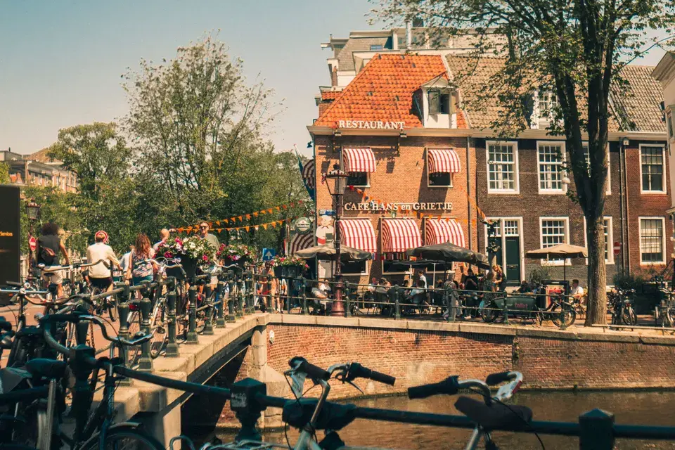 Local Mold Remediation Experts in Missouri City, TX — Missouri City, TX